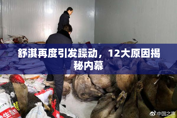 舒淇再度引发躁动，12大原因揭秘内幕