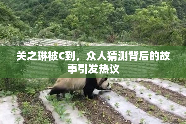 关之琳被C到，众人猜测背后的故事引发热议