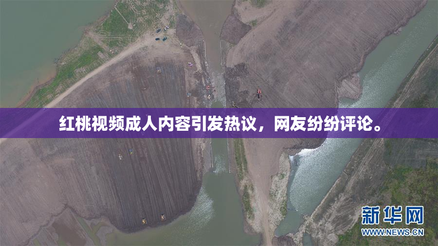 红桃视频成人内容引发热议，网友纷纷评论。