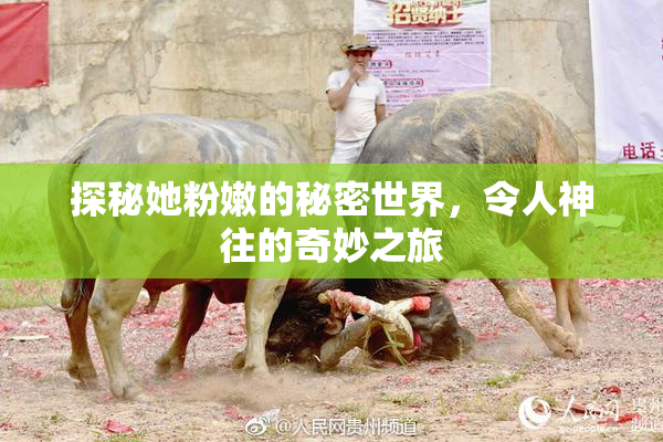 探秘她粉嫩的秘密世界，令人神往的奇妙之旅