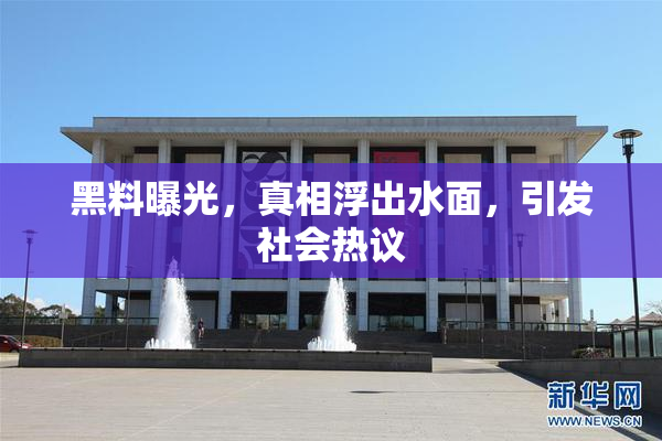 黑料曝光，真相浮出水面，引发社会热议