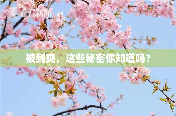 被到爽，这些秘密你知道吗？