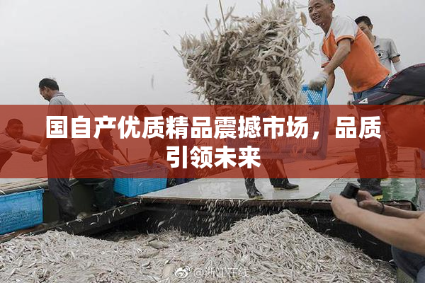 国自产优质精品震撼市场，品质引领未来