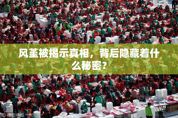 风堇被揭示真相，背后隐藏着什么秘密？