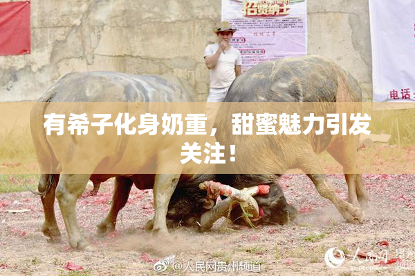 有希子化身奶重，甜蜜魅力引发关注！