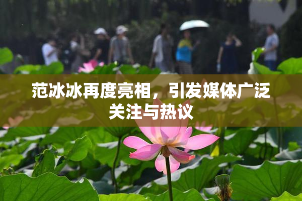范冰冰再度亮相，引发媒体广泛关注与热议