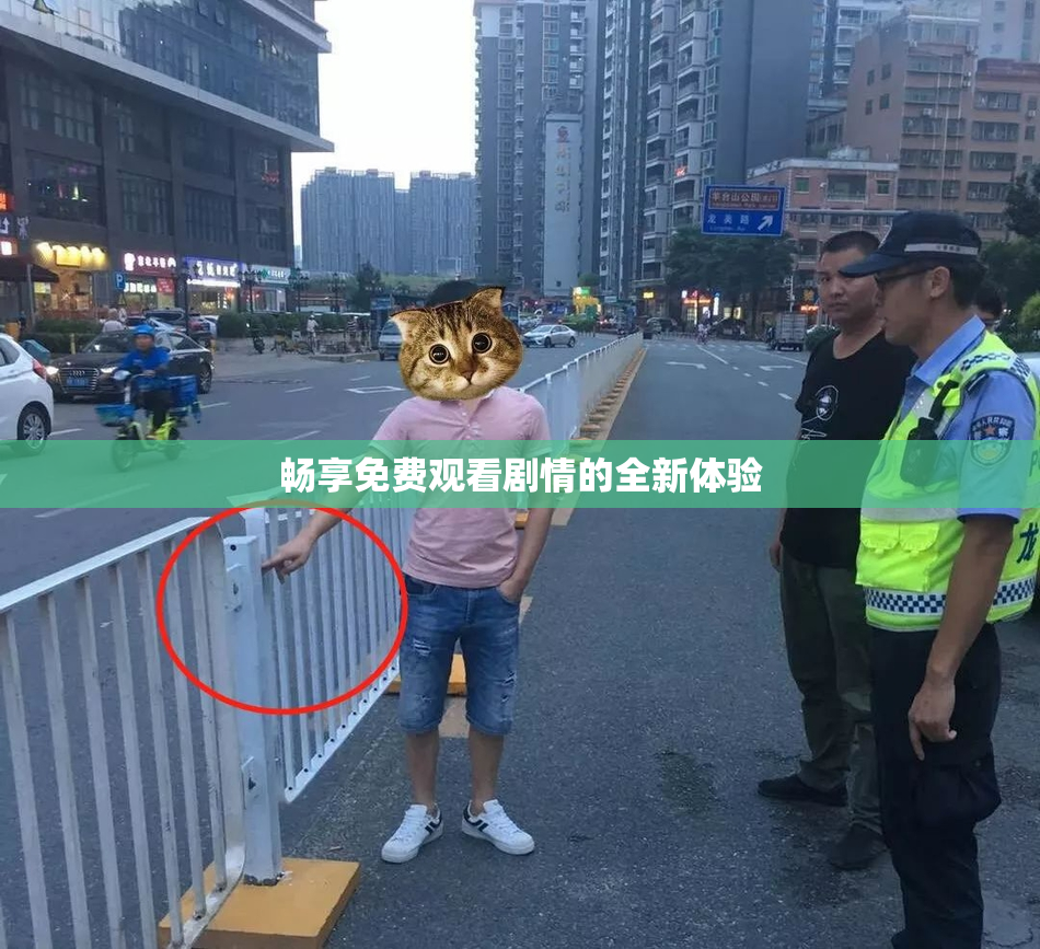 畅享免费观看剧情的全新体验