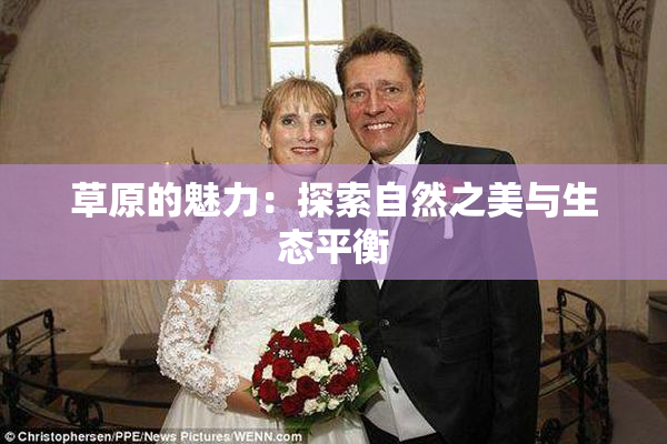 草原的魅力：探索自然之美与生态平衡