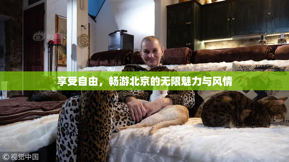 享受自由，畅游北京的无限魅力与风情