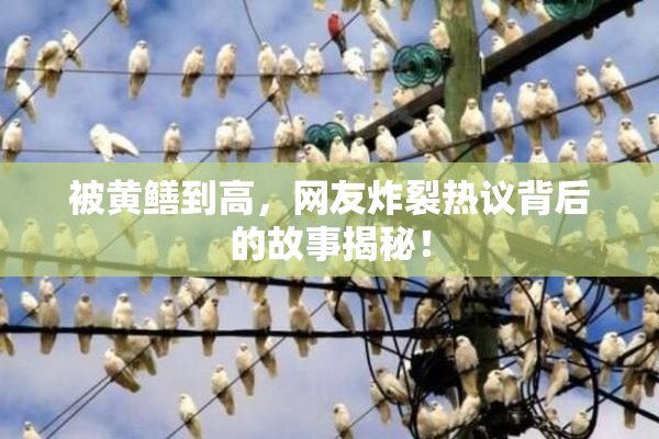 被黄鳝到高，网友炸裂热议背后的故事揭秘！