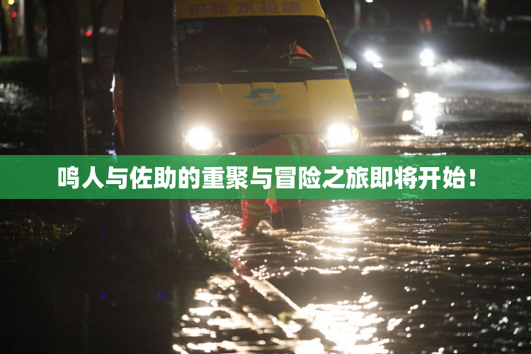 鸣人与佐助的重聚与冒险之旅即将开始！