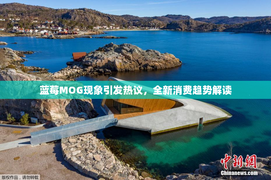 蓝莓MOG现象引发热议，全新消费趋势解读