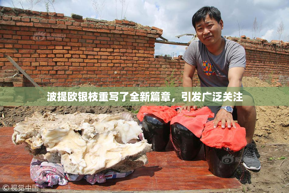 波提欧银枝重写了全新篇章，引发广泛关注