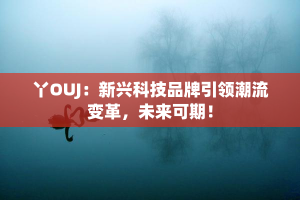 丫OUJ：新兴科技品牌引领潮流变革，未来可期！