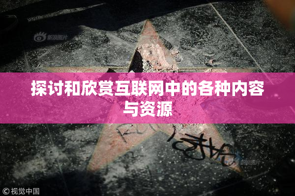 探讨和欣赏互联网中的各种内容与资源