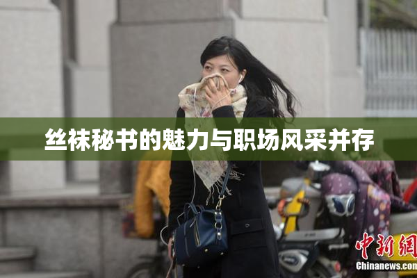 丝袜秘书的魅力与职场风采并存