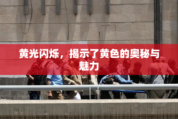 黄光闪烁，揭示了黄色的奥秘与魅力
