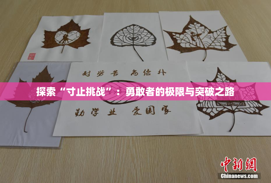 探索“寸止挑战”：勇敢者的极限与突破之路