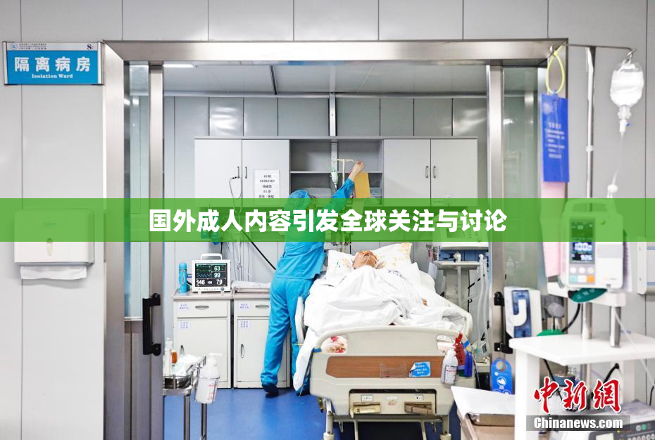 国外成人内容引发全球关注与讨论
