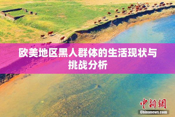 欧美地区黑人群体的生活现状与挑战分析