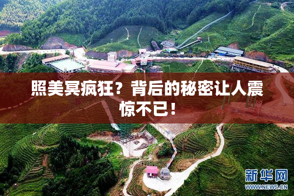 照美冥疯狂？背后的秘密让人震惊不已！