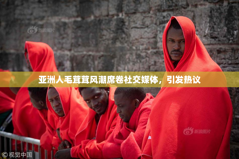 亚洲人毛茸茸风潮席卷社交媒体，引发热议