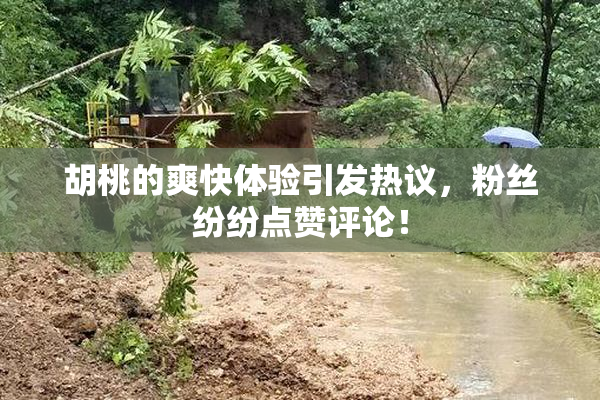 胡桃的爽快体验引发热议，粉丝纷纷点赞评论！