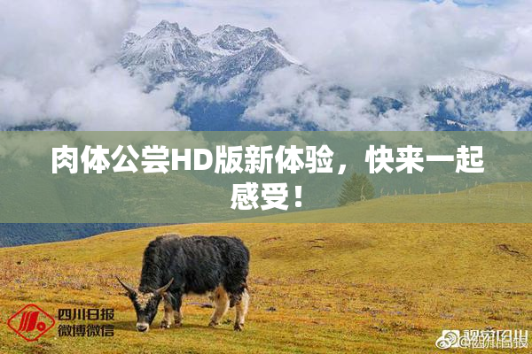 肉体公尝HD版新体验，快来一起感受！