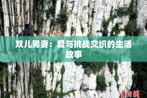 双儿男妻：爱与挑战交织的生活故事