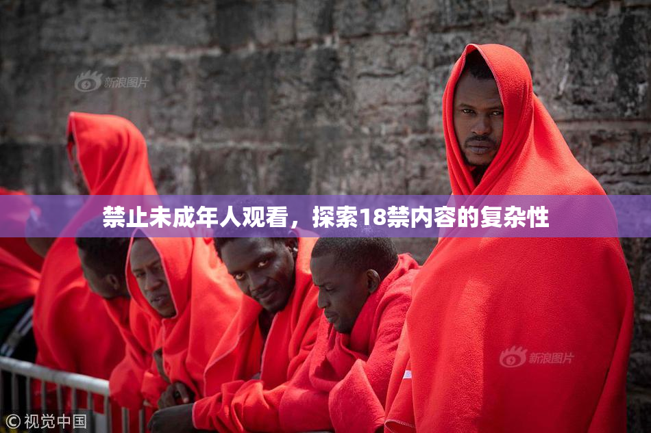 禁止未成年人观看，探索18禁内容的复杂性