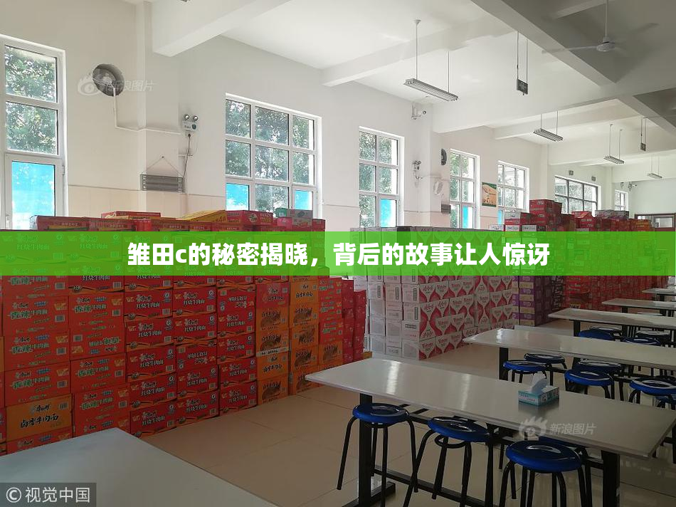 雏田c的秘密揭晓，背后的故事让人惊讶