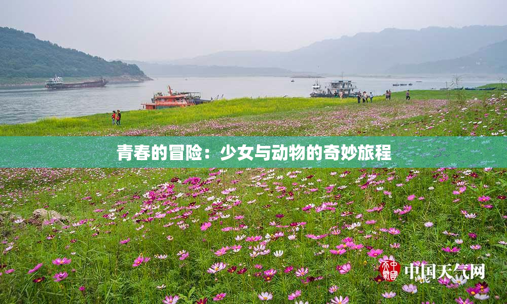 青春的冒险：少女与动物的奇妙旅程