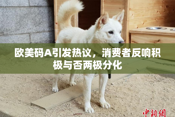 欧美码A引发热议，消费者反响积极与否两极分化