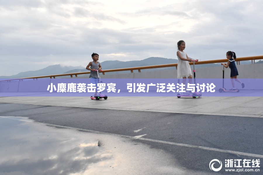 小麋鹿袭击罗宾，引发广泛关注与讨论