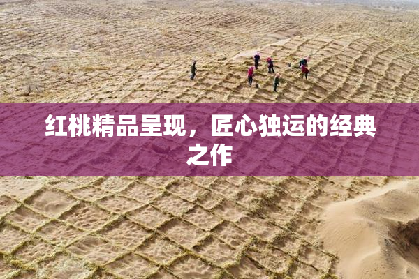 红桃精品呈现，匠心独运的经典之作