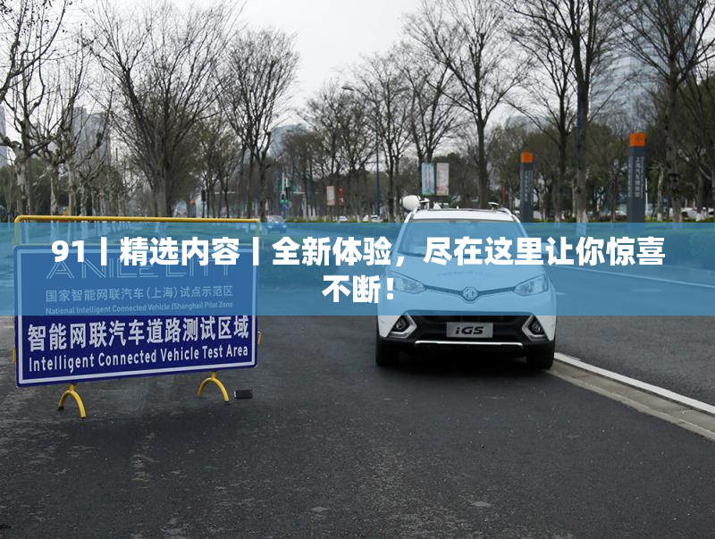 91丨精选内容丨全新体验，尽在这里让你惊喜不断！