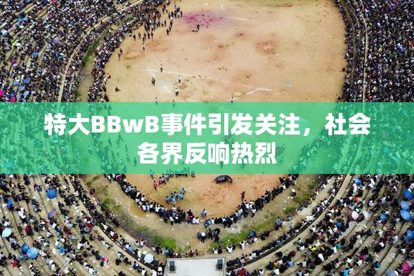 特大BBwB事件引发关注，社会各界反响热烈