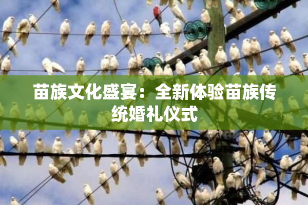 苗族文化盛宴：全新体验苗族传统婚礼仪式