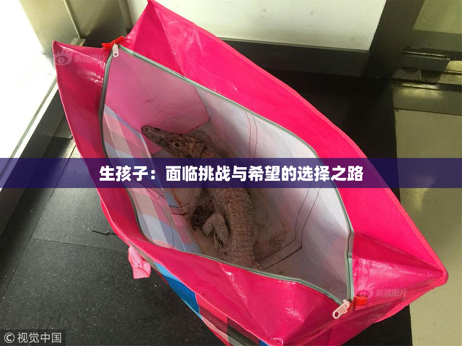 生孩子：面临挑战与希望的选择之路