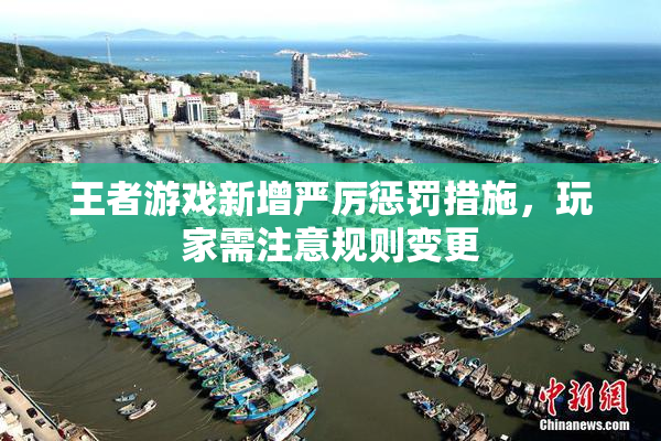 王者游戏新增严厉惩罚措施，玩家需注意规则变更