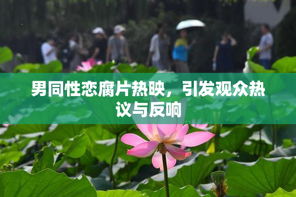 男同性恋腐片热映，引发观众热议与反响