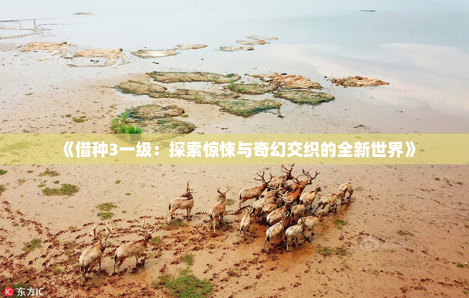 《借种3一级：探索惊悚与奇幻交织的全新世界》