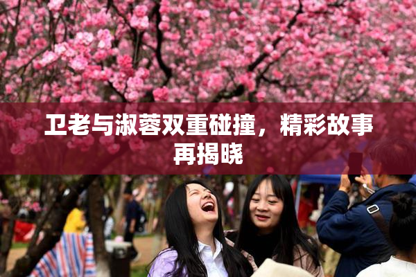 卫老与淑蓉双重碰撞，精彩故事再揭晓