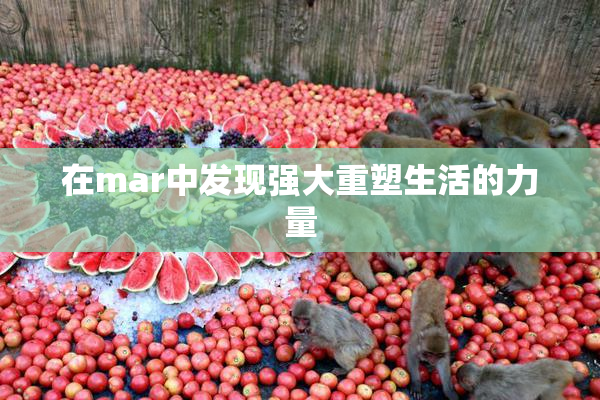 在mar中发现强大重塑生活的力量