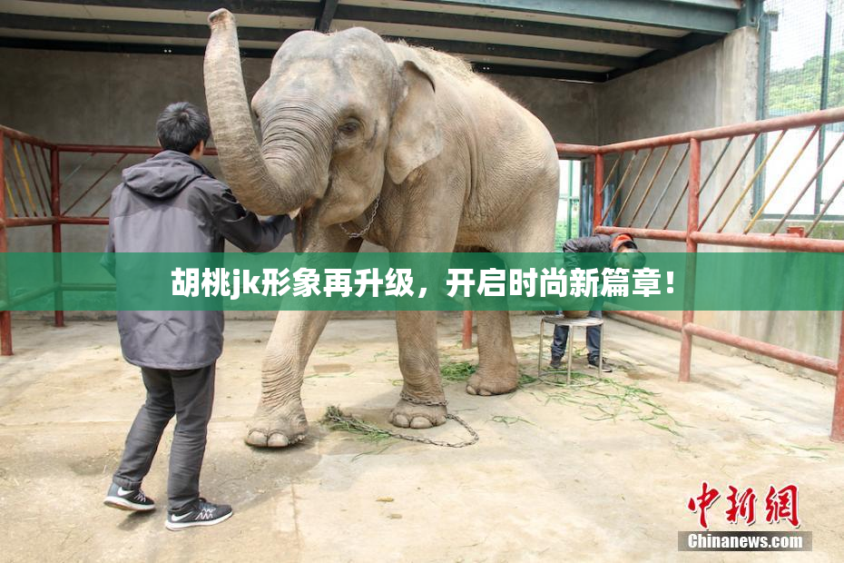 胡桃jk形象再升级，开启时尚新篇章！