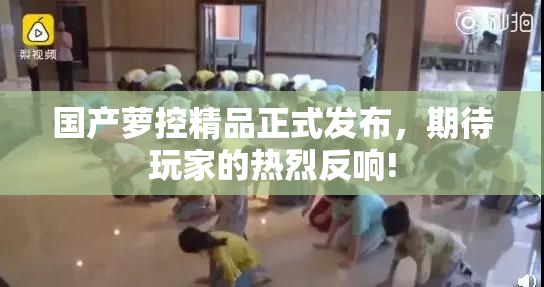 国产萝控精品正式发布，期待玩家的热烈反响!