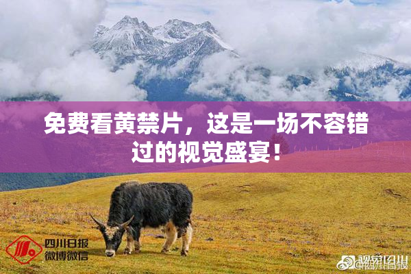 免费看黄禁片，这是一场不容错过的视觉盛宴！