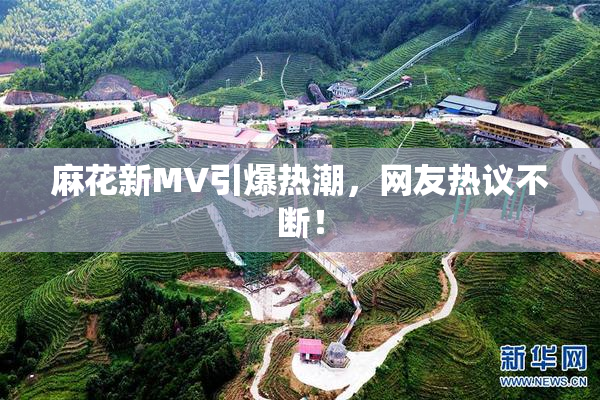 麻花新MV引爆热潮，网友热议不断！