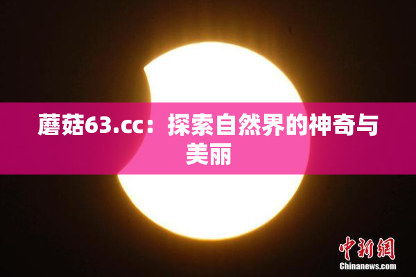 蘑菇63.㏄：探索自然界的神奇与美丽