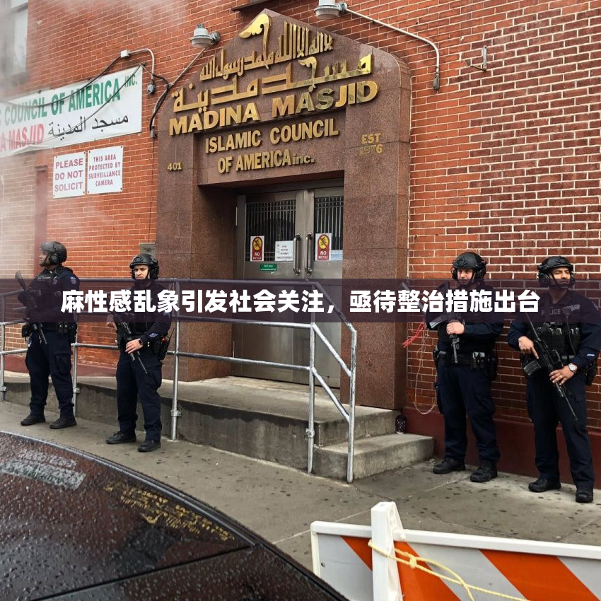 麻性感乱象引发社会关注，亟待整治措施出台
